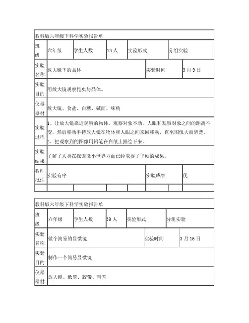教科版六年级下科学实验报告单新版 2