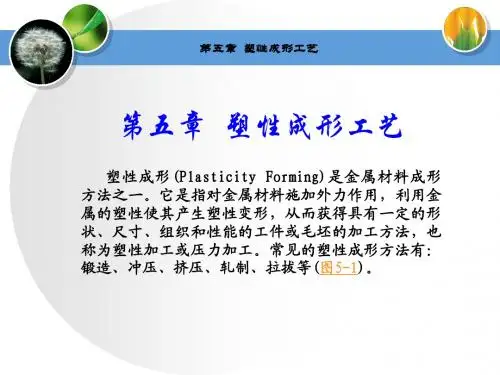 第5章塑性成形工艺