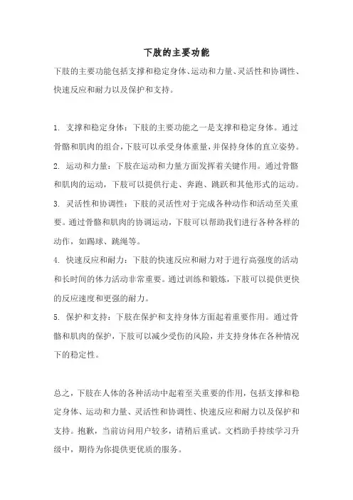 下肢的主要功能