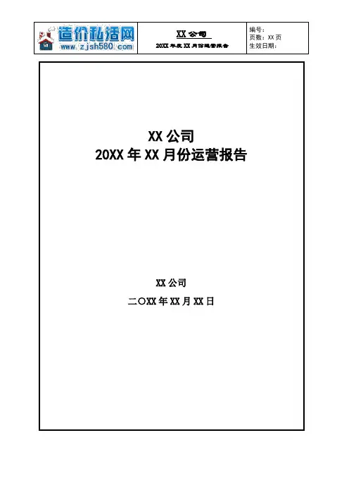 公司月度运营报告