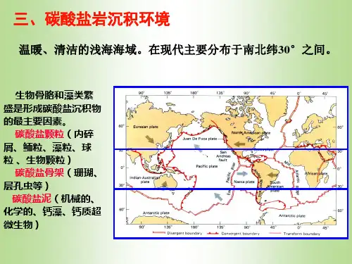 碳酸盐沉积环境及相模式 2