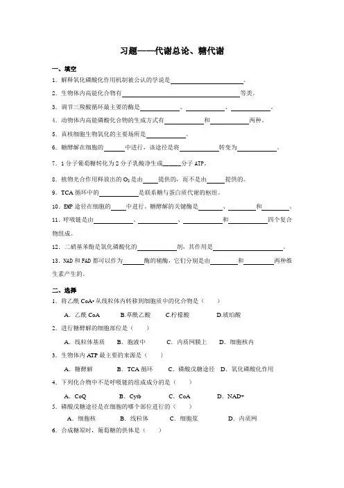 6代谢总论及糖代谢