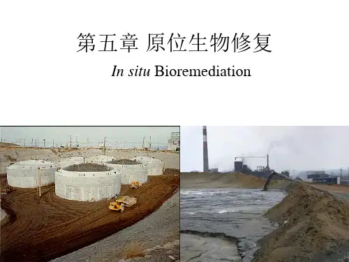 5章 原位生物修复