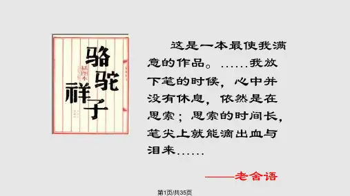在烈日和暴雨下PPT课件