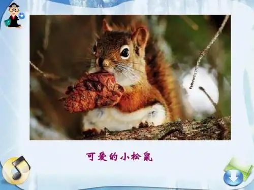 10、松鼠与松果