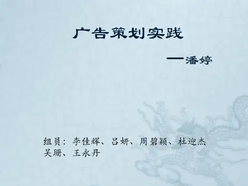 广告策划实践