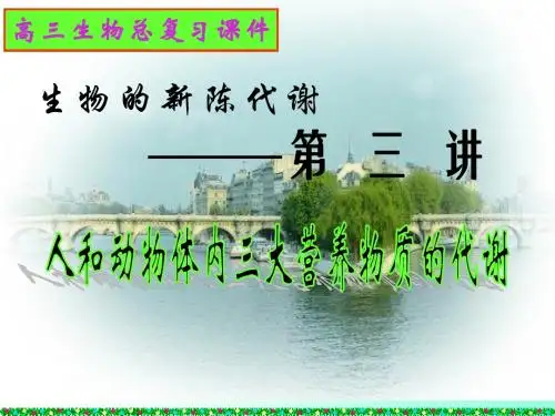 人和动物体内三大营养物质的代谢