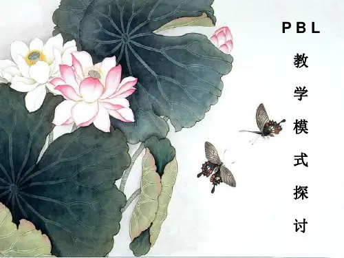PBL教学模式