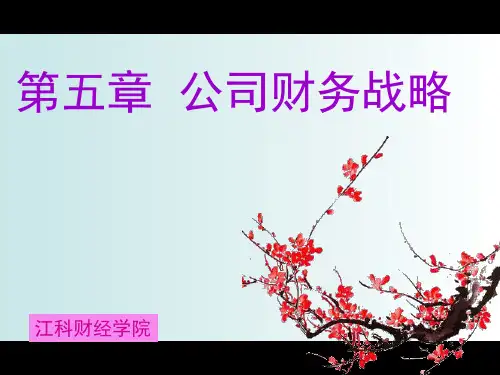 第5章财务战略.pptx