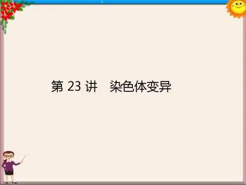 高三生物 染色体变异复习课件 新人教版