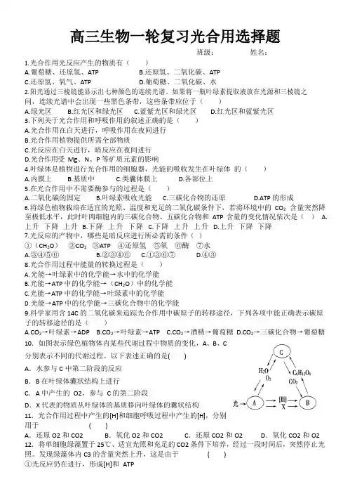 高三生物一轮复习光合作用选择题