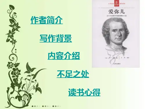 爱弥儿读书报告