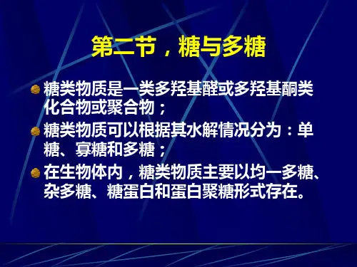 第二节,糖与多糖
