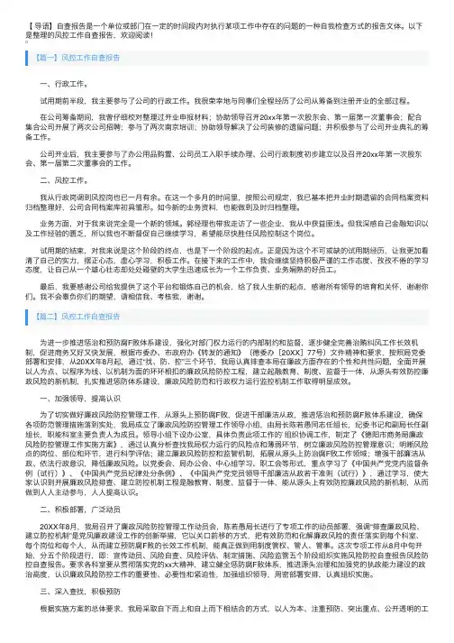 风控工作自查报告