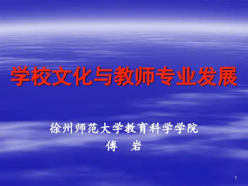 学校文化与教师专业发展(教研改革7月14日)