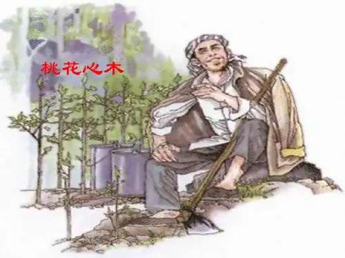 桃花心木教学课件