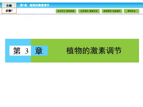 人教版高中生物必修三 第3章 植物的激素调节 3.1《植物的激素调节
