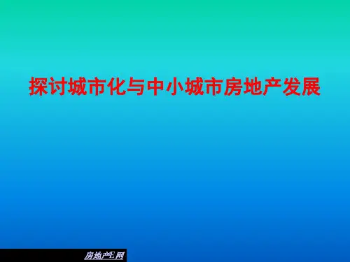 探讨城市化与中小城市房地产发展PPT课件