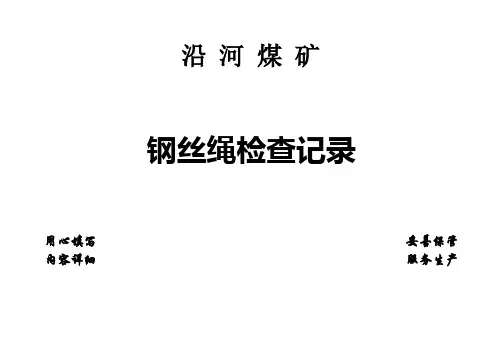 钢丝绳检查记录