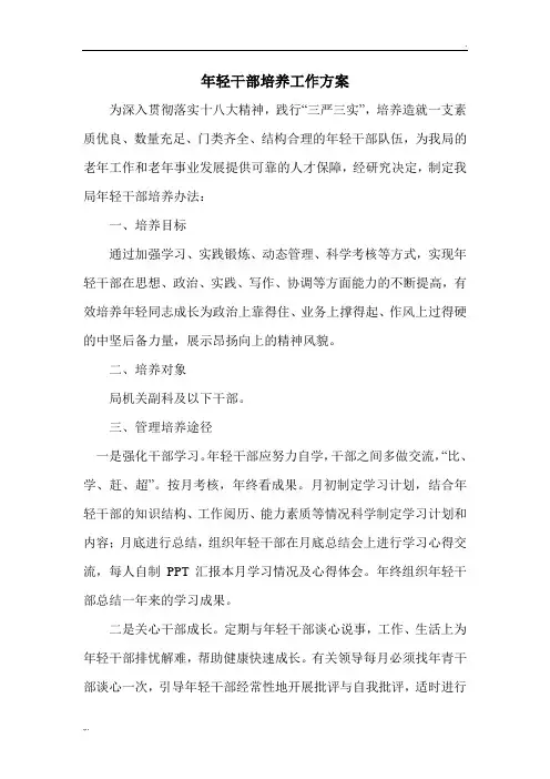 年轻干部培养工作方案