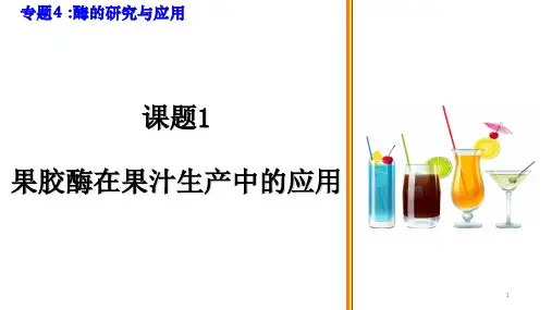 高考真题—专题4 酶的研究与应用