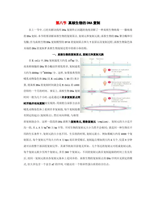 真核生物DNA的复制