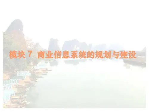 商业信息系统的规划与建设