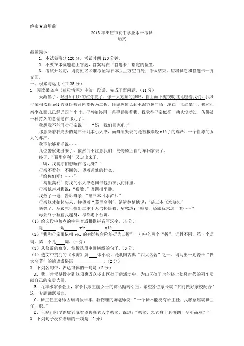034.2018年山东省枣庄市初中学业水平考试语文试题