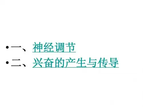 神经调节与兴奋的产生与传导66