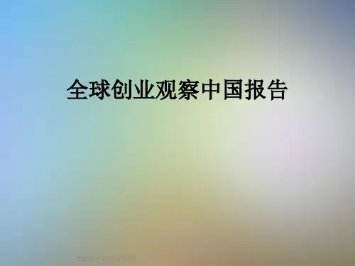 全球创业观察中国报告