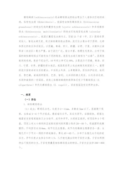 细粒棘球绦虫病(包虫病)