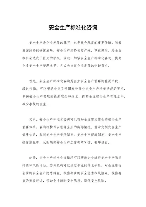 安全生产标准化咨询