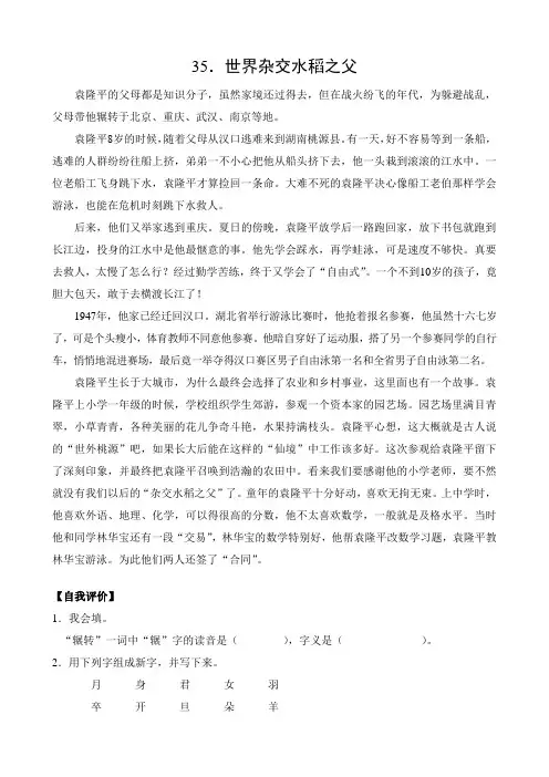 世界杂交水稻之父