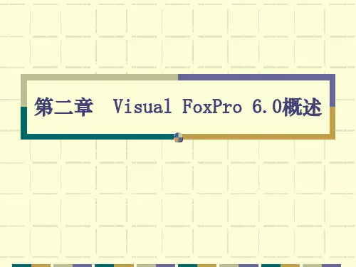 VF02Visual FoxPro 6.0概述