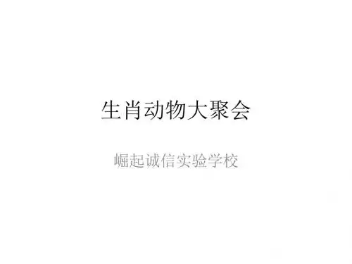 9.生肖动物大聚会