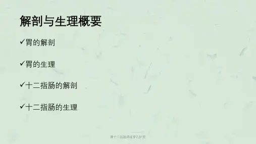 胃十二指肠溃疡穿孔护理课件