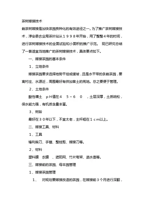 茶树嫁接技术