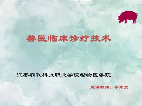 课件：兽医临床诊疗课件 -1