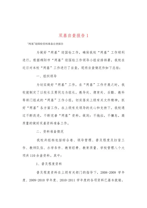 双基自查报告1