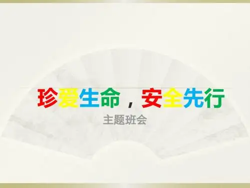 安全班会