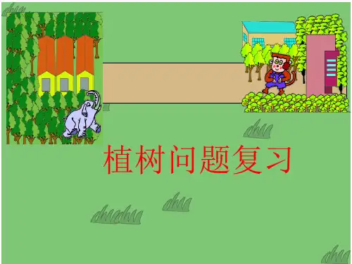 数学广角复习1