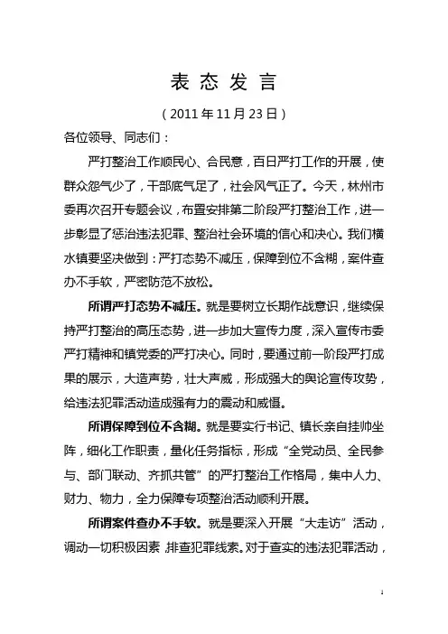 严打整治表态发言
