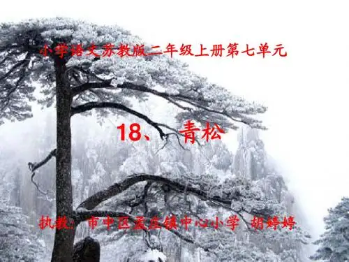 二上第七单元课文18青松
