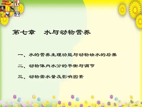 人教版小学科学4.1_水与动物营养
