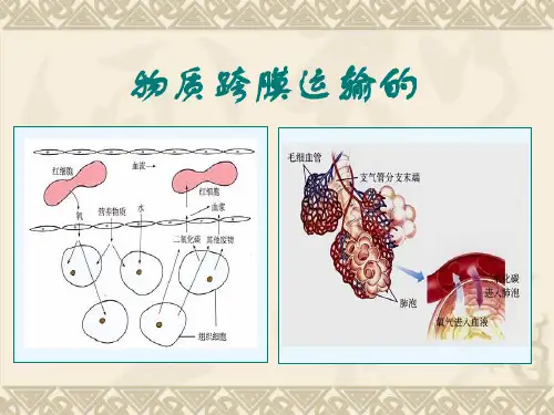 物质跨膜运输方式.讲