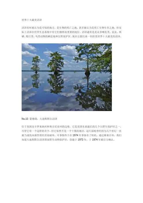 世界十大最美沼泽
