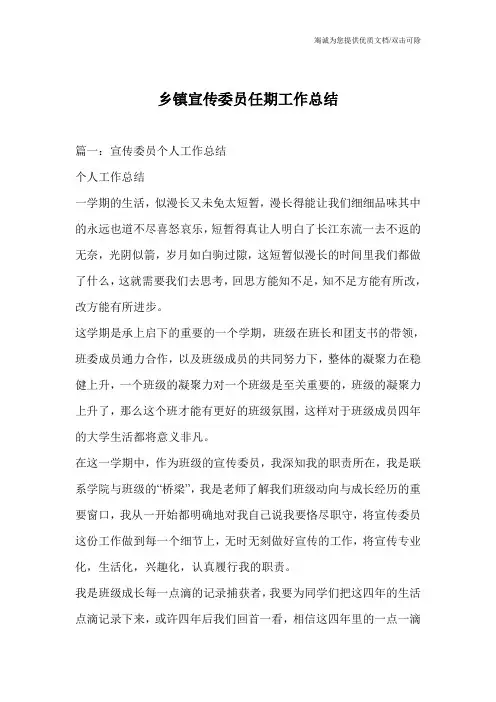 乡镇宣传委员任期工作总结