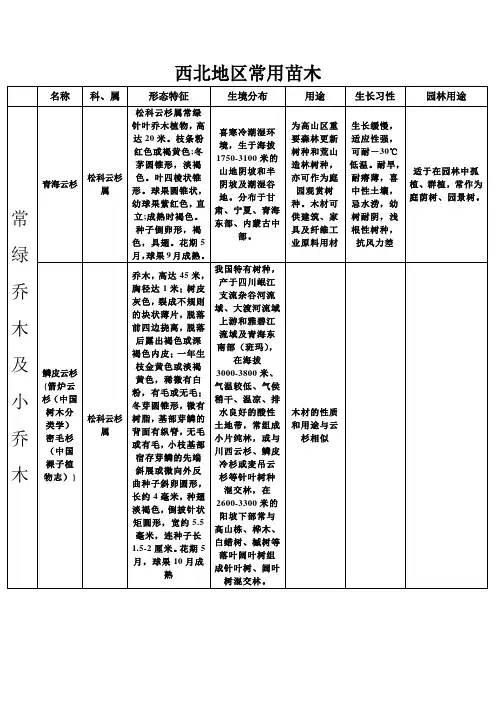 西北地区常用苗木