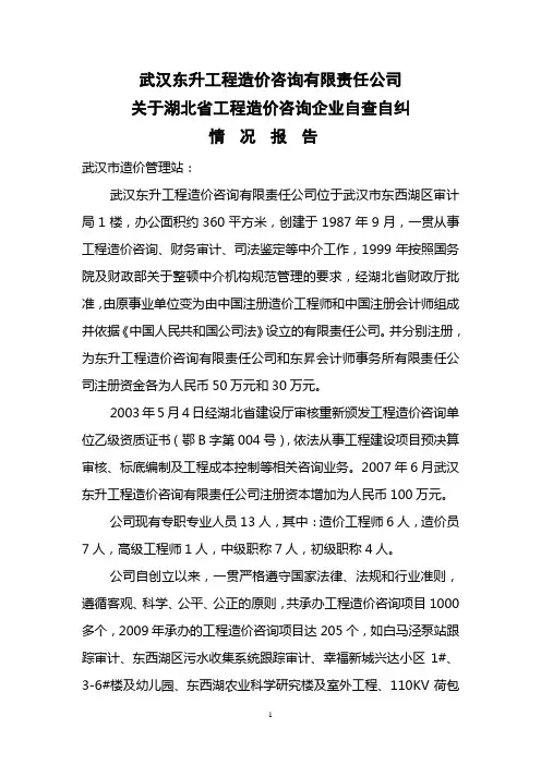 自查自纠报告