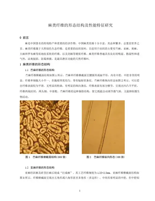 麻类纤维的形态结构及性能特征研究